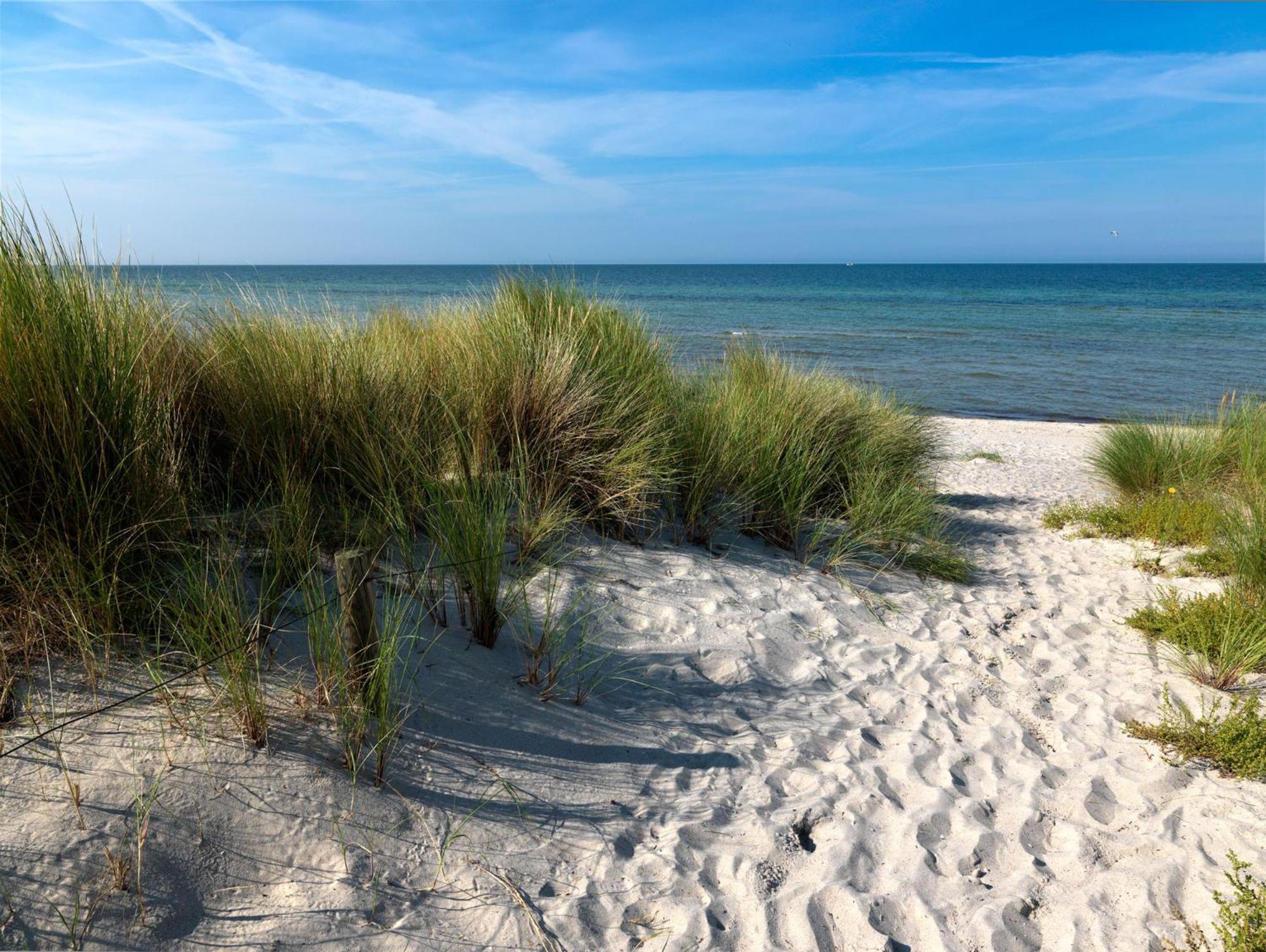 Daenische Ferienhaeuser Am Salzhaff Haus Kaept'N Nemo Insel Poel Exteriör bild